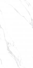 RD18101L_04
