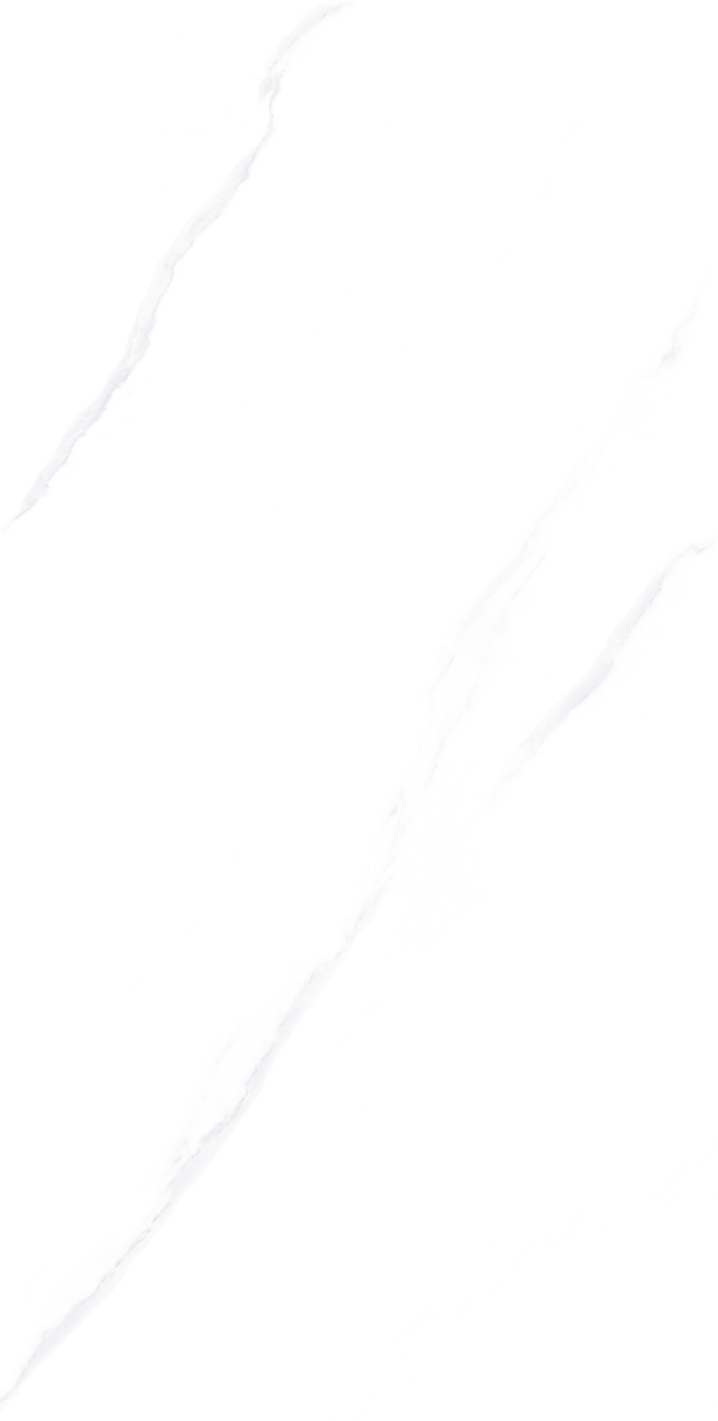 RCF12118L-2