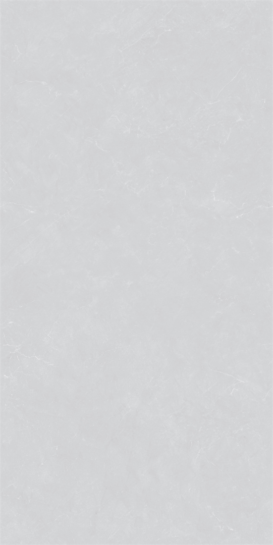 RCF12132 