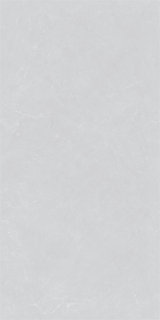 RCF12132 