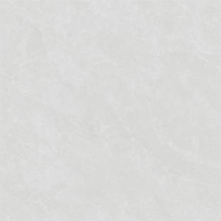 RZ88705-4