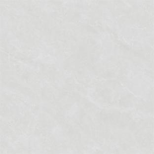 RZ88705-2