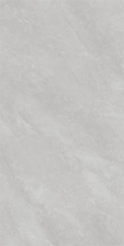 RP84170-2