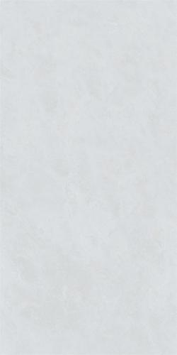 RG13103-4