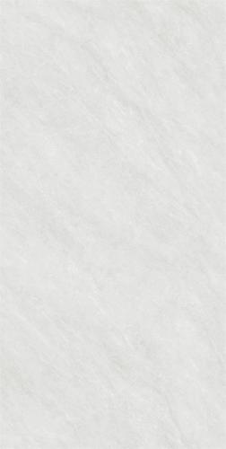 RG13105-2