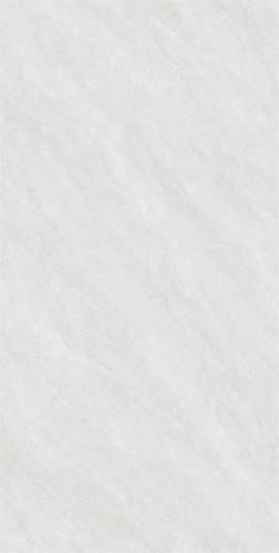 RG13105-3