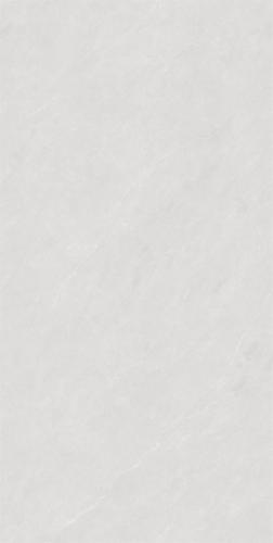 RSP12501-2