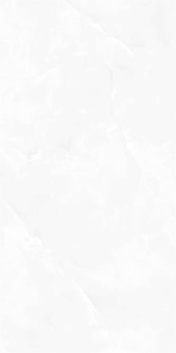 RSP12505-3
