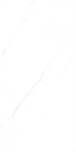 RSP12506-3
