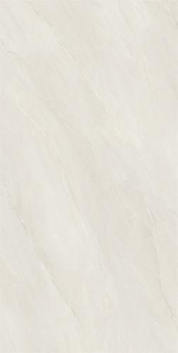 RSP12511 (2)