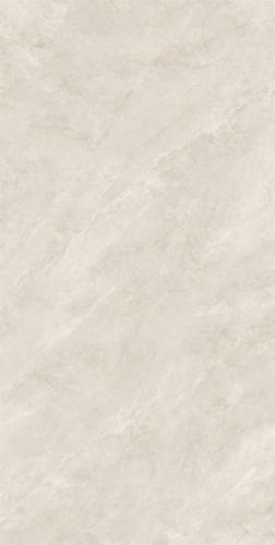RSP12512 (4)