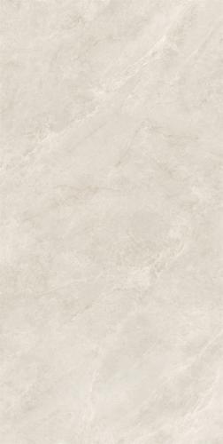 RSP12512 (2)