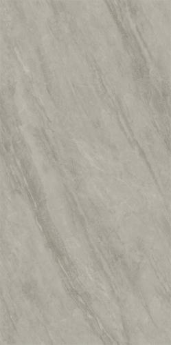 RCF12189-2