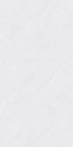RSP12503-3
