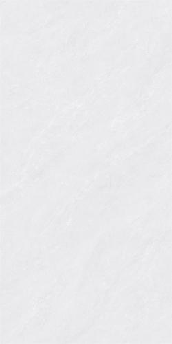 RSP12503-4