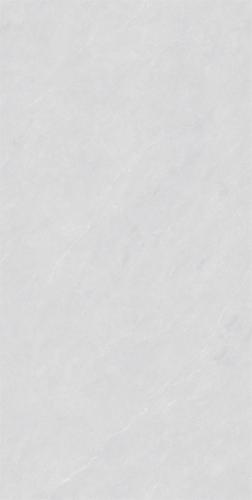 RSP125001-2